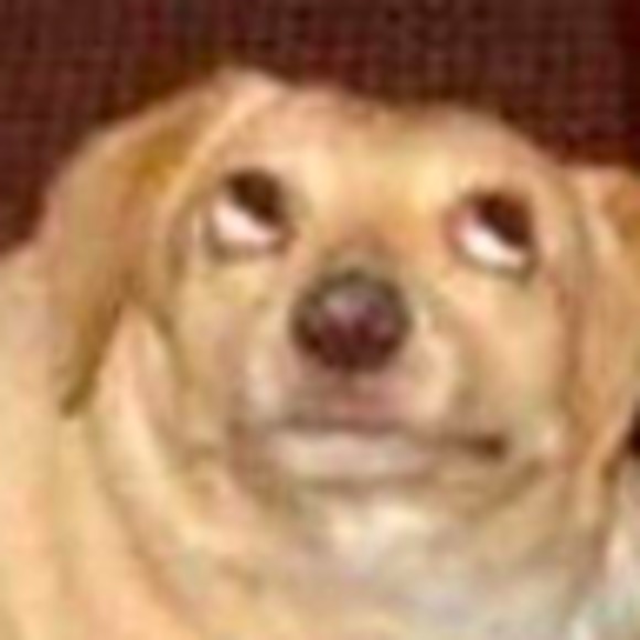 Meet your Posher, Cate - Picture 1 of 1